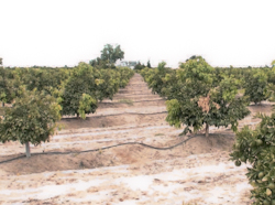 vlcsnap-2013-07-18-08h49m26s38 (2)