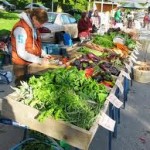 12-10-farmers-market