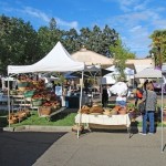 Farmers Market