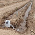 Medium Water Farm
