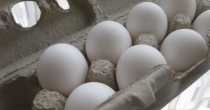 carton-of-eggs