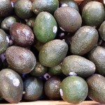 Avocados