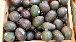 Hass Avocados