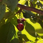 IMG_20140516_102834_276