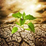 climate change research