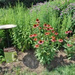 Flowers add beauty and attract pollinators to any garden. Plant a pollinator-friendly garden or window box to show your support for pollinators. Remember to bee patient. It may take time for native plants to grow and for pollinators to find your garden.