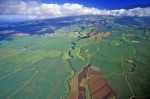 Aerial View of Sugar Fields, Maui, Hawaii