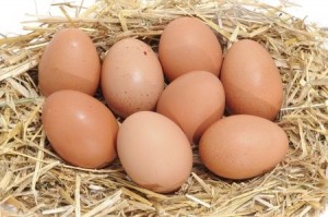 brown eggs