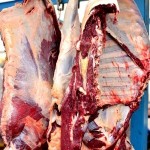 cut of beef hanging resting