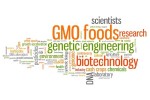 Genetically modified food (GMO production)