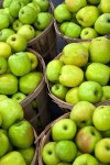 green apples