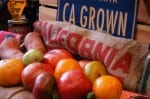 CA-GRown-close-up-1-web