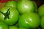 Green Tomatoes 