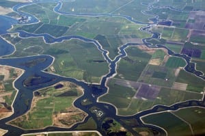 Bay-Delta Water