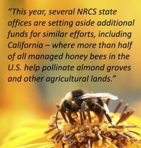 Pollinator-Pull-Quote