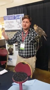 Airstrike Bird Control Falconry