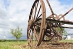 Old Antique Farm Implement