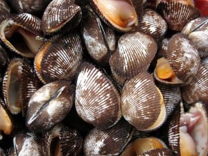 Mussels-shellfish-market_540