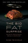 Big Fat Surprise book cover