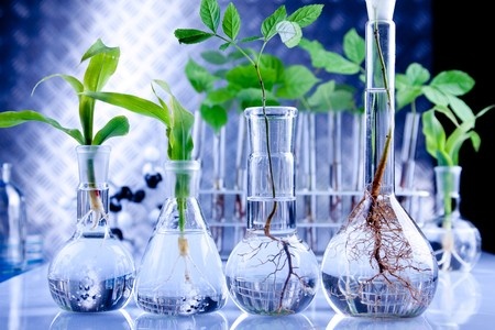 Essay on biotechnology in agriculture