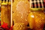 bees honey and honeycomb