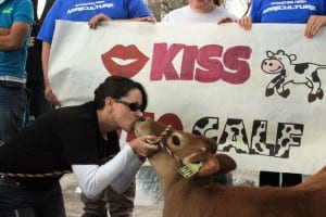 Kiss the Calf-7