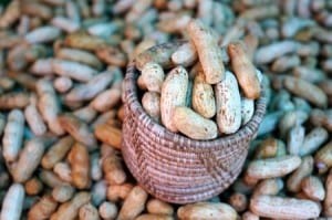 boiled peanuts