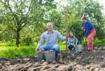 family harvesting potatoes