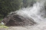 Compost Pile