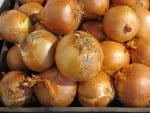 Spanish onions