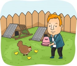 Man Feeding Chickens in Backyard
