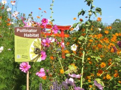 Photo courtesy of CDFA