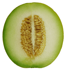 Cantaloupe Melon
