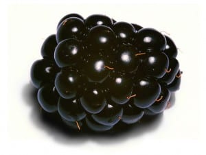 798px-Blackberry_close-up