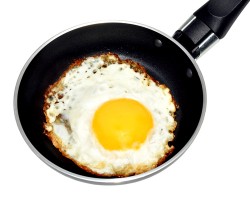 Fried Egg in a Frying Pan