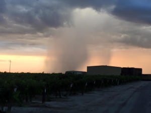 Rare July rains across the state. Courtesy: Gurpinder Brar
