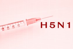 H5N1 Avian Flu Vaccine Concept