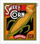 Sweet Corn