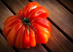 beefsteak tomato