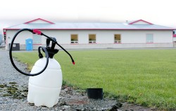 Disinfectant for Avian Flu