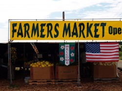 Small Farmers Market Selling Fruits and Vegetables