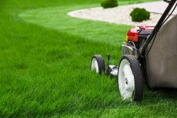 Lawn mower-grass
