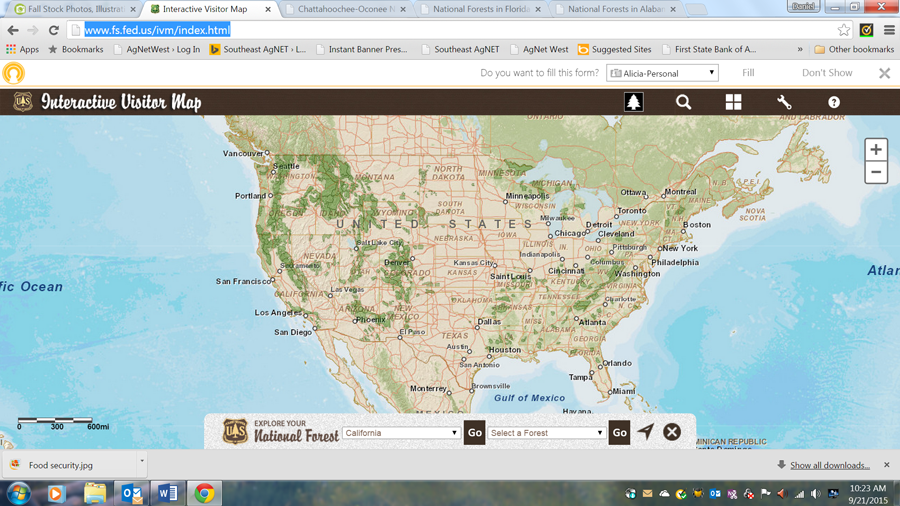 Forestry-Service-Interactiv