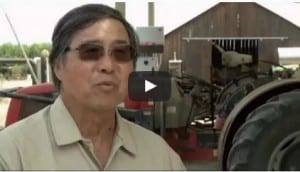 growing California, natures candy 