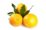 navel oranges