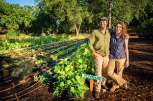 Hillview Farms is an example of one of the 1,244 small family-owned farms represented by PlacerGROWN. 