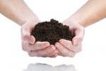 Soil as Products