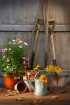 gardening gift ideas tools