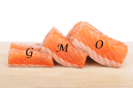 GMO Salmon