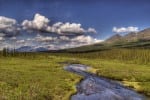 Alaskan state creek in summer near the Denali Highway with puffy clouds on a summer day.